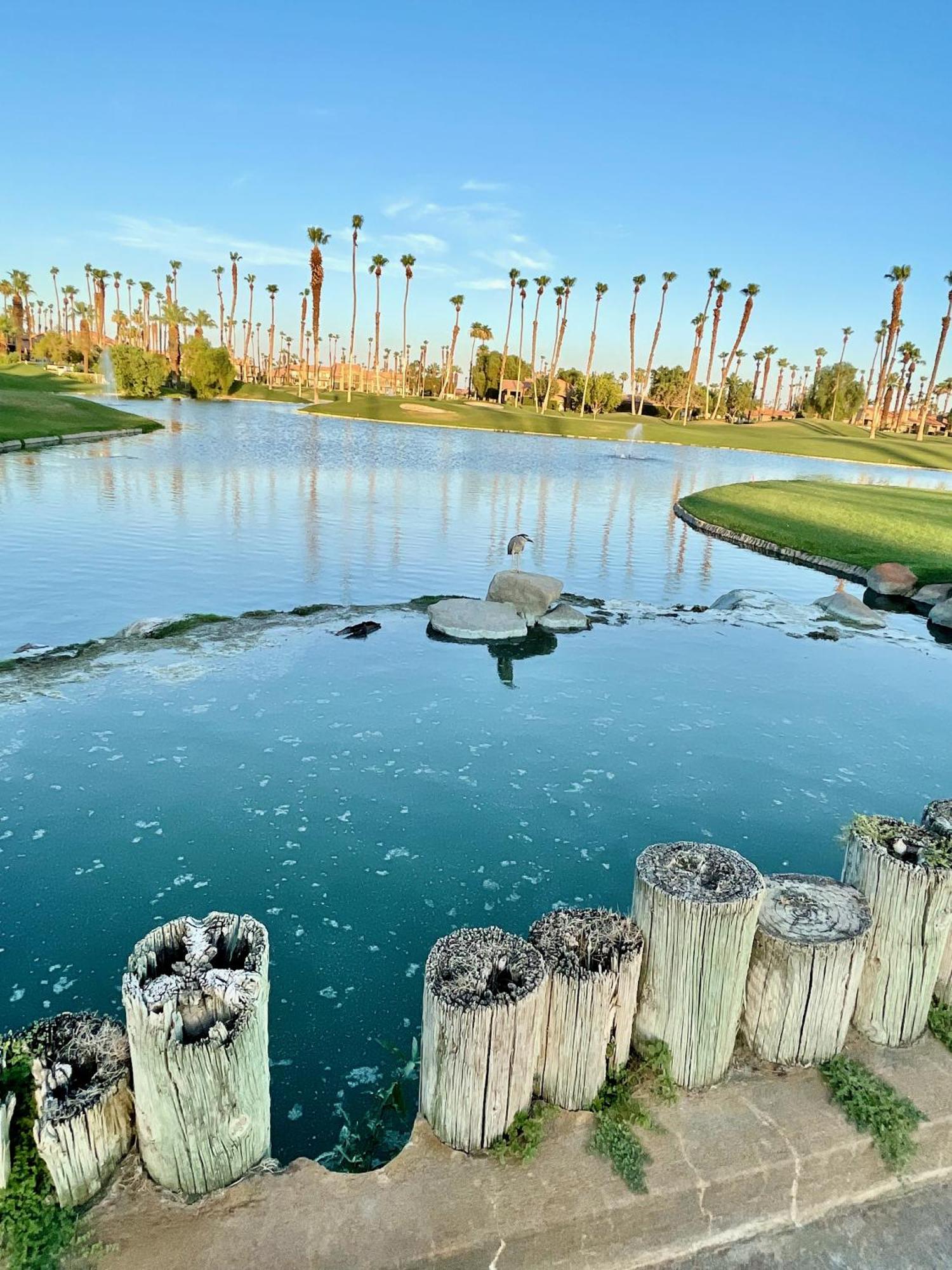 The View! Palm Desert Country Club Villa ภายนอก รูปภาพ