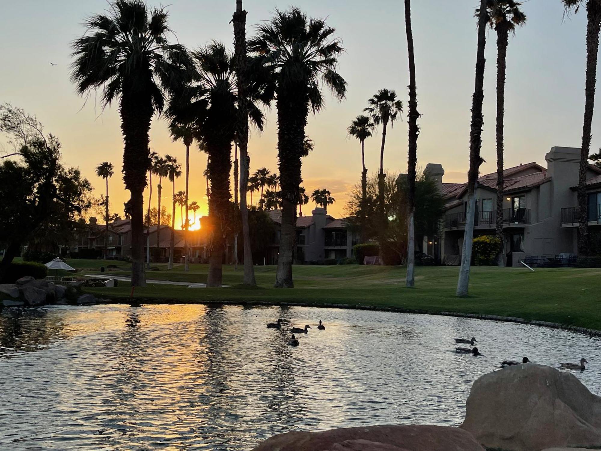 The View! Palm Desert Country Club Villa ภายนอก รูปภาพ