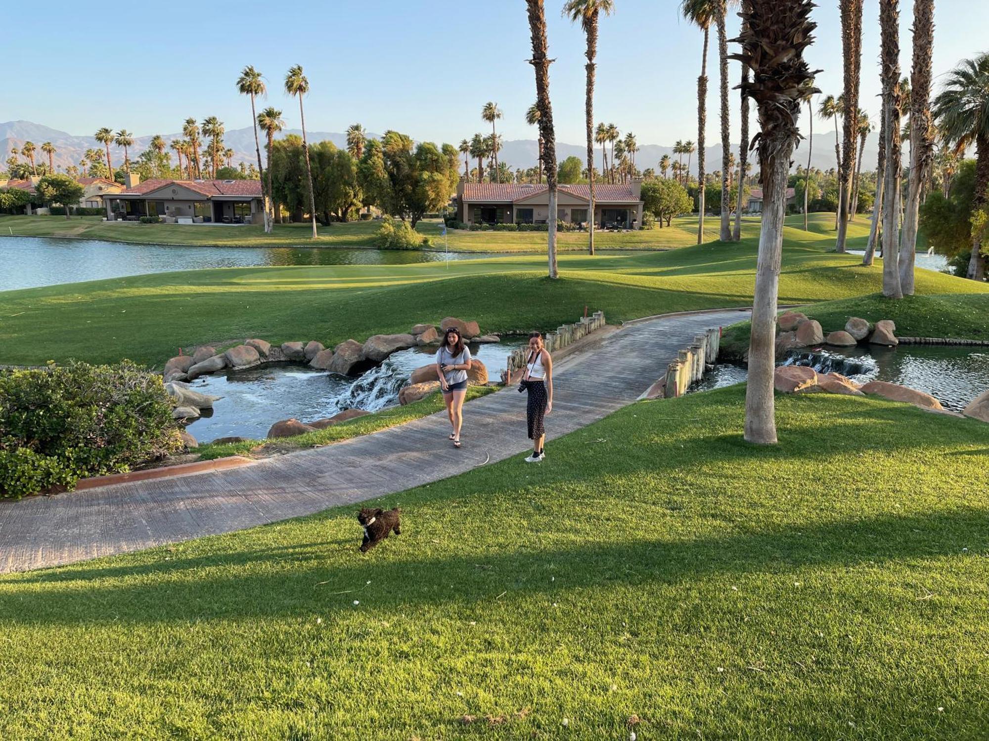 The View! Palm Desert Country Club Villa ภายนอก รูปภาพ